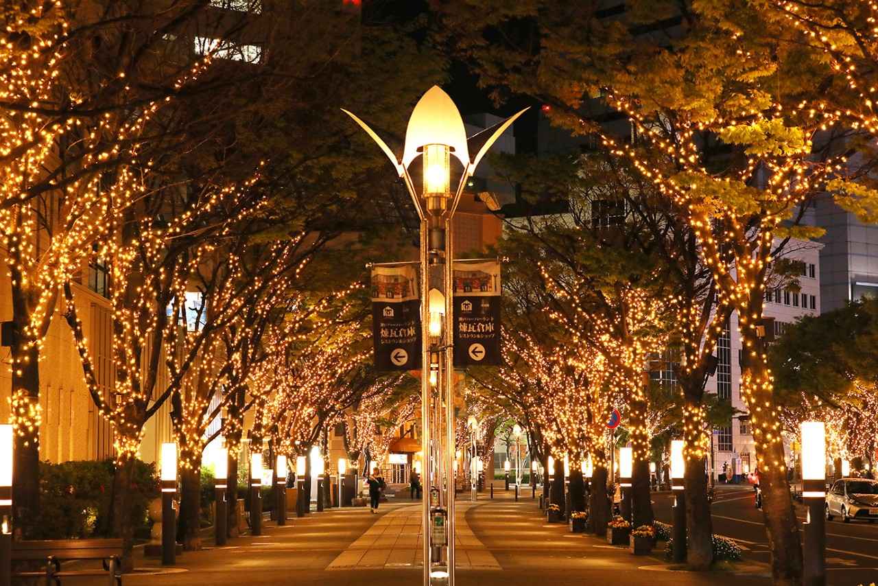 画像1: 港町の夜景とガス燈が照らすあたたかい光の並木道