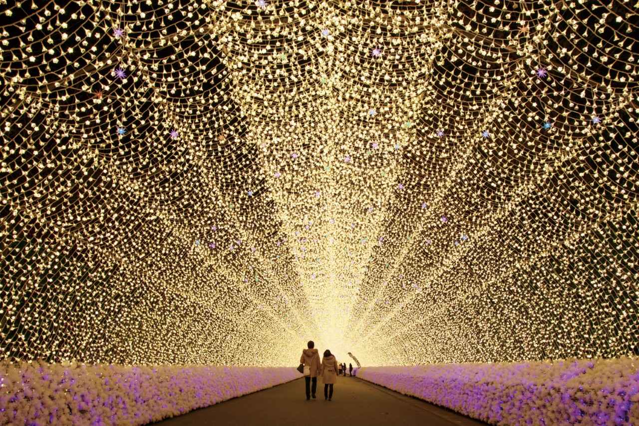 画像1: 電球の花が咲く、全長200メートルの光のトンネル