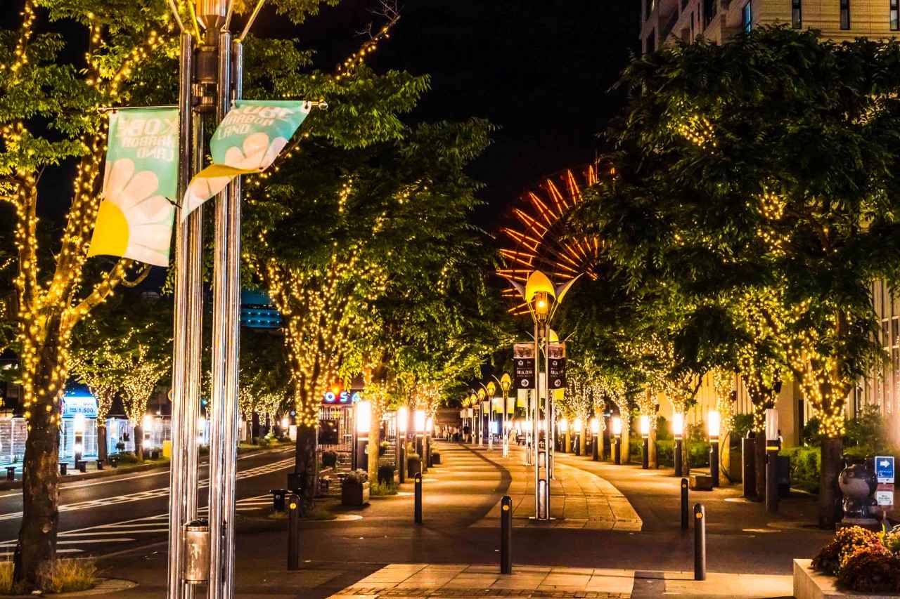 画像2: 港町の夜景とガス燈が照らすあたたかい光の並木道