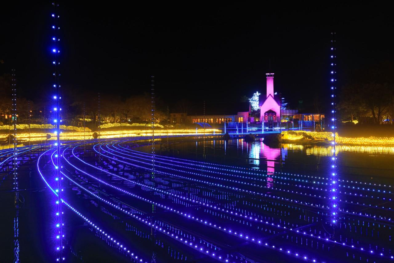 画像2: 電球の花が咲く、全長200メートルの光のトンネル