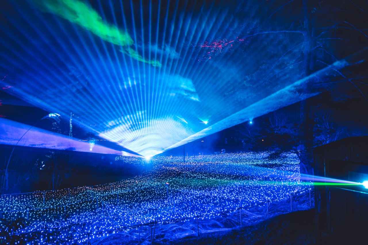 画像2: 自然×光×音×アートの世界に没入する