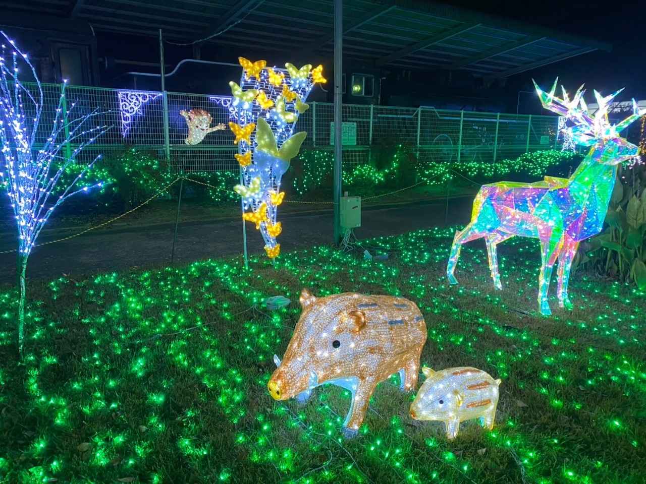 画像2: 鹿のオブジェも登場する、奈良県最大級のイルミネーション