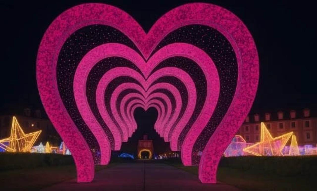 画像4: © イルミナージュ / Illuminage