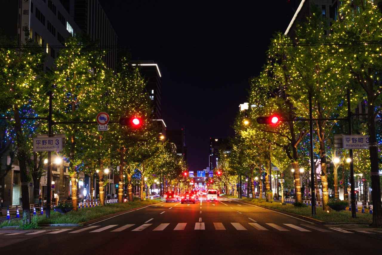 画像: ©大阪・光の饗宴実行委員会 ※実際の様子