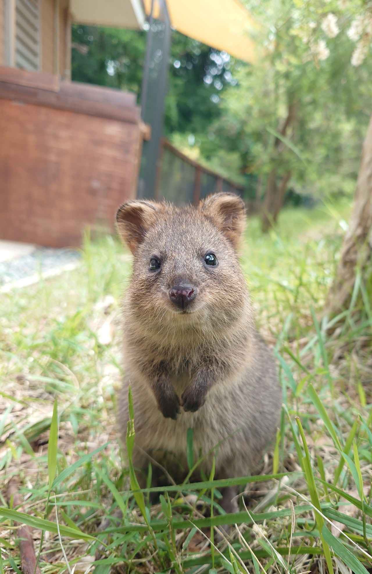 画像1: 愛らしさMAX！ 個性豊かな“推し動物”に出会える全国の動物園＆水族館13選