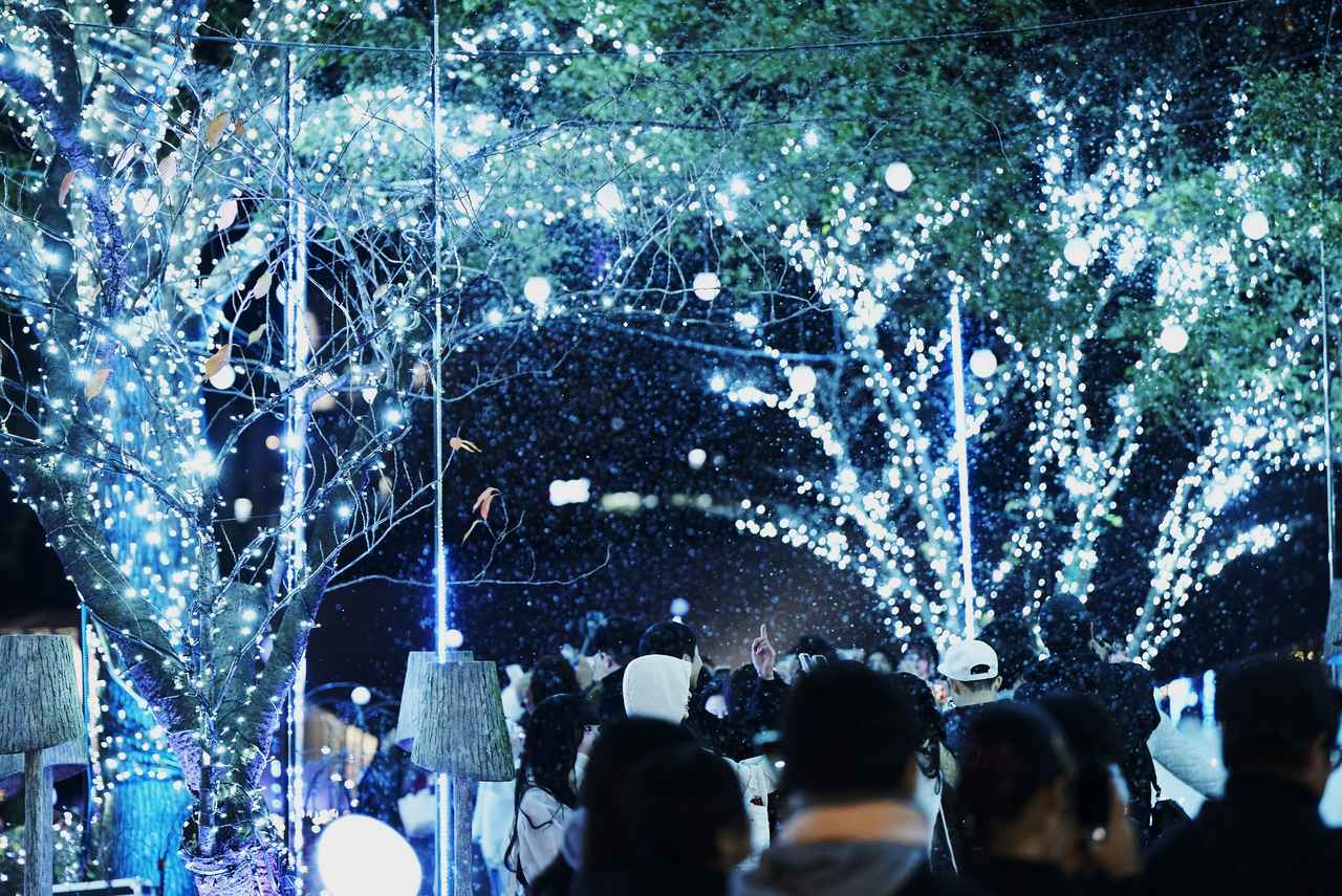 画像2: 2024年開催時の様子