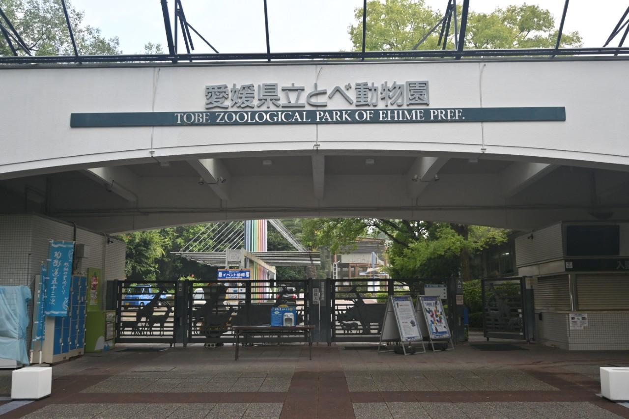画像1: 提供：愛媛県立とべ動物園
