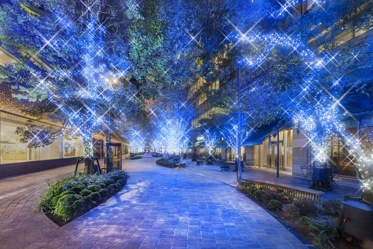 画像: 「HIBIYA AREA ILLUMINATION」2024年開催時の様子