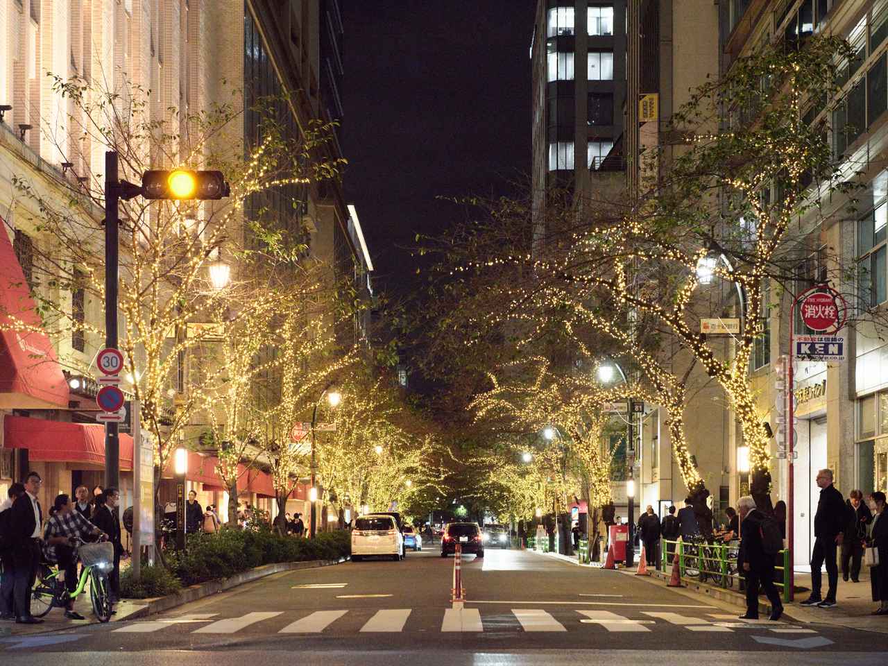 画像1: 【東京駅】TOKYO ILLUMILIA 2025-2026