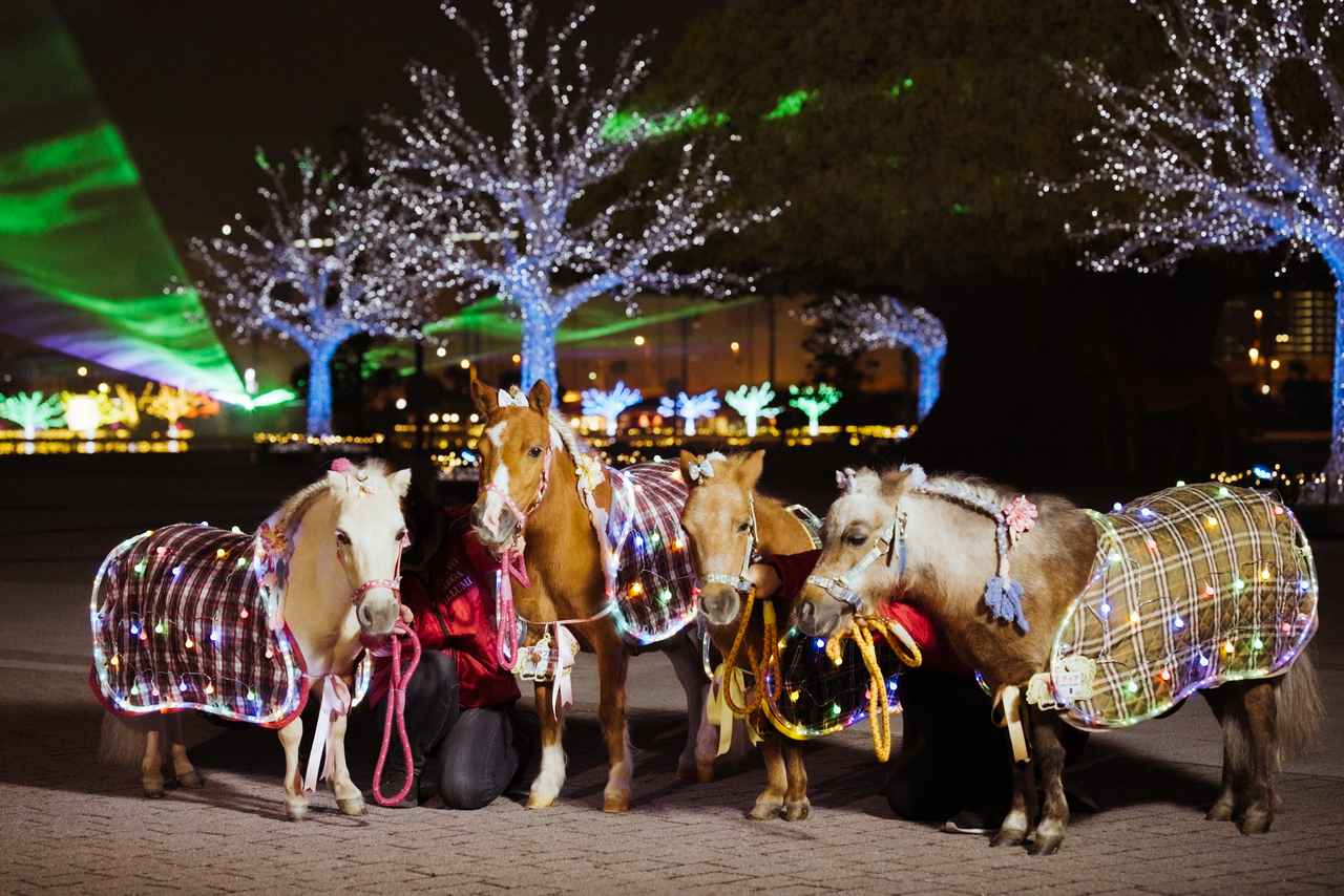 画像: 【大井競馬場前駅】東京メガイルミ 2025-2026