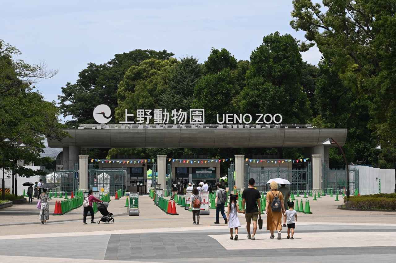 画像: （公財）東京動物園協会