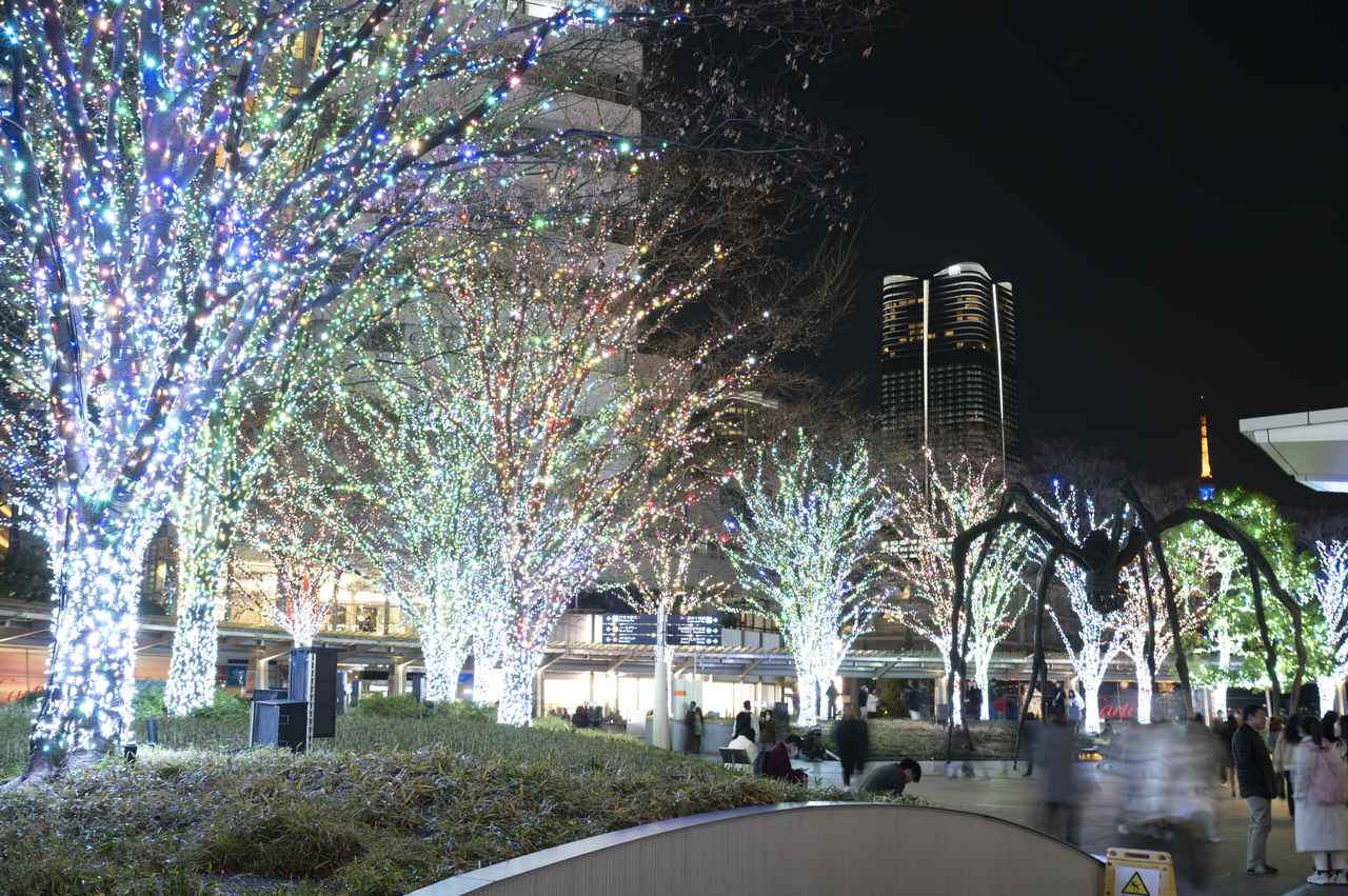 画像: 66プラザイルミネーション 「Luminous Bouquet」