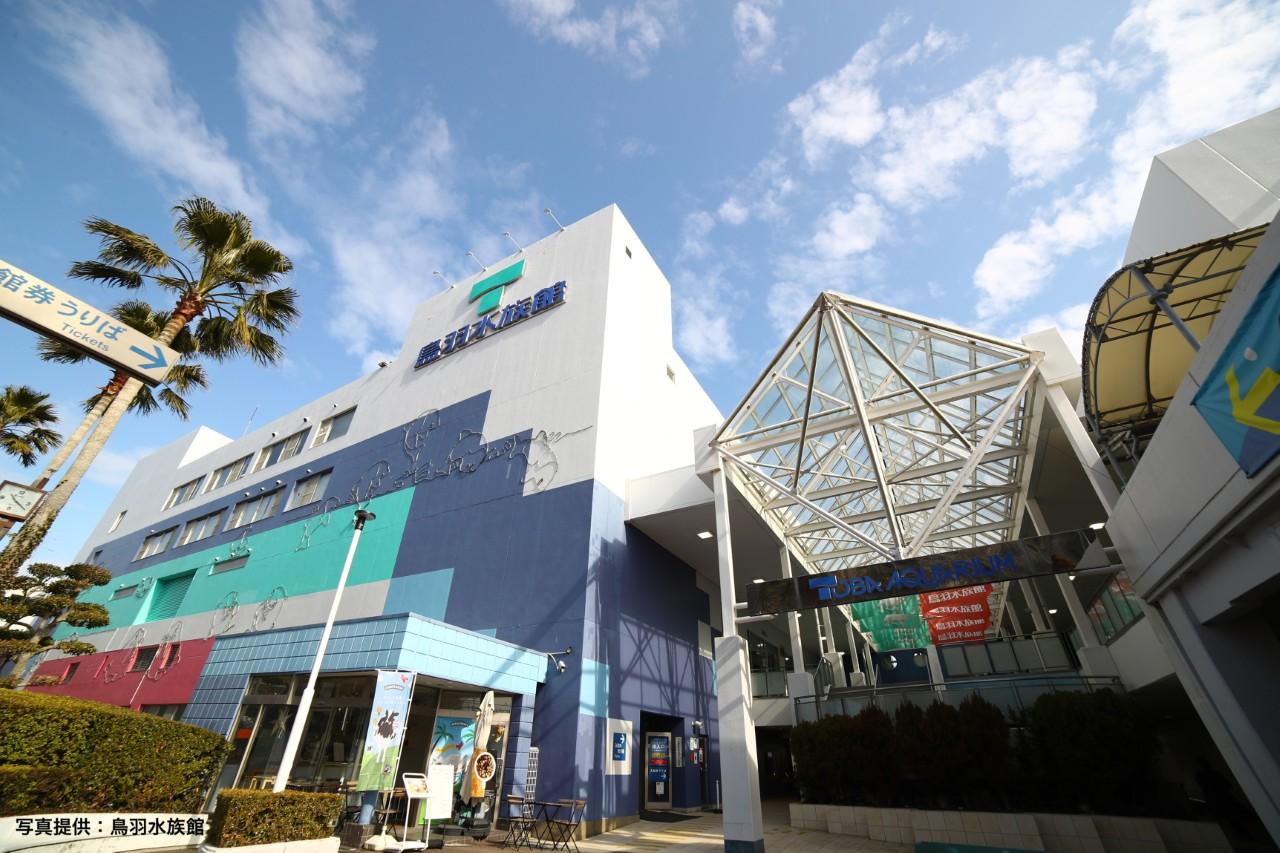 画像: 国内でここだけ！愛らしいラッコたちに会える水族館｜鳥羽水族館（三重）