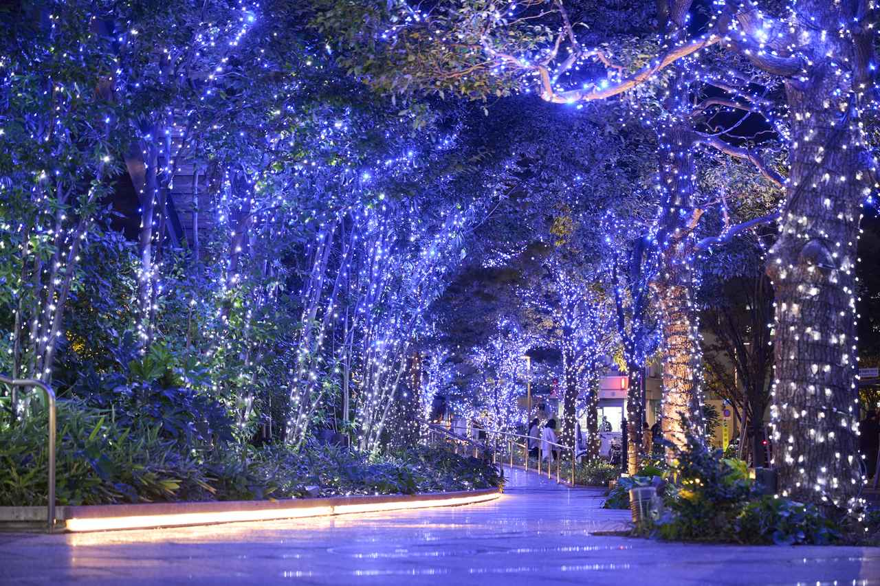 画像: 「ソラミ坂」(2024年開催時の様子) ©TOKYO-SKYTREETOWN