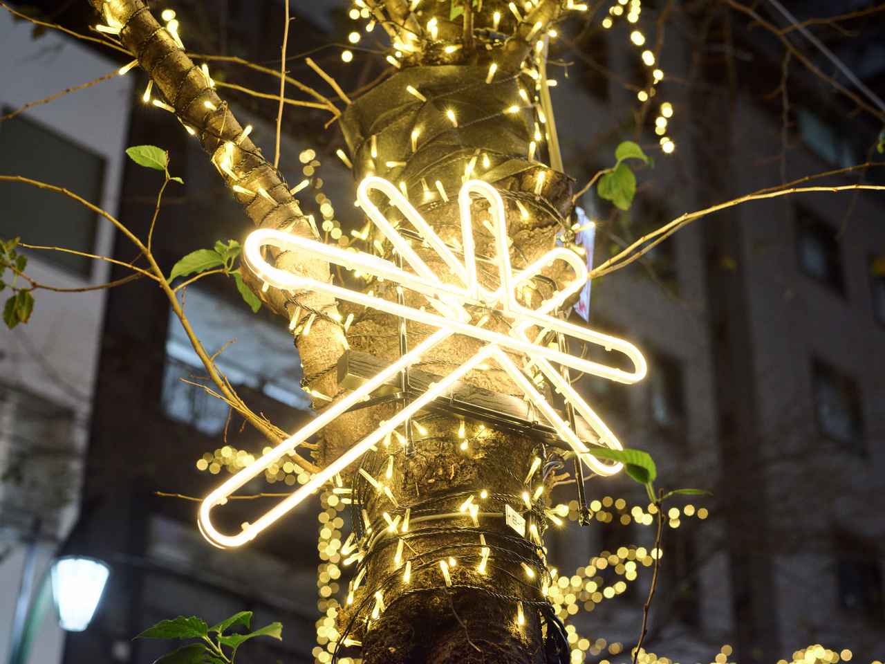 画像2: 【東京駅】TOKYO ILLUMILIA 2025-2026