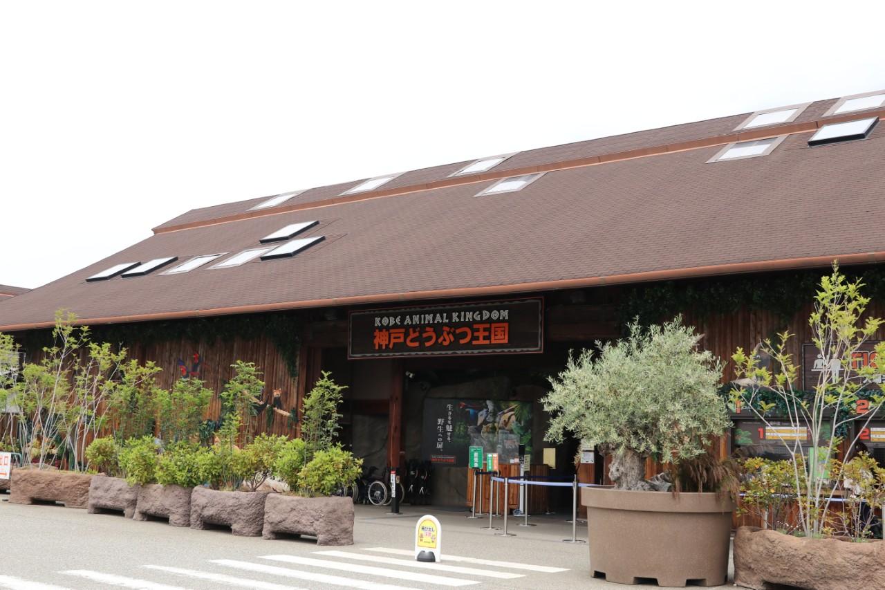 画像1: 世界三大珍獣のひとつ。丸くてキュートなコビトカバ｜神戸どうぶつ王国（兵庫）