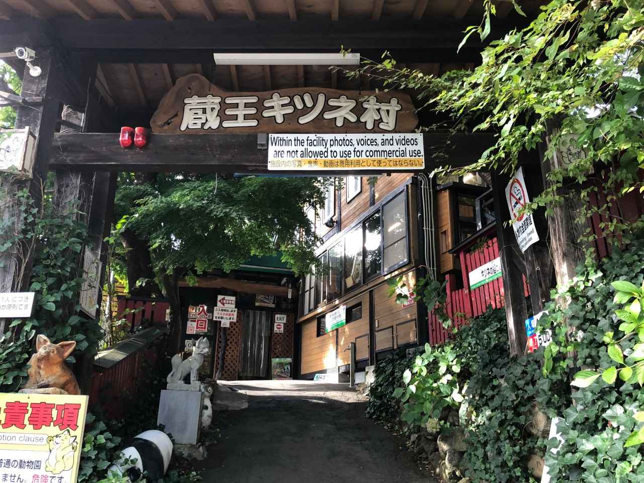 画像1: 100頭以上から「推しギツネ」が見つかる？｜宮城蔵王キツネ村（宮城）