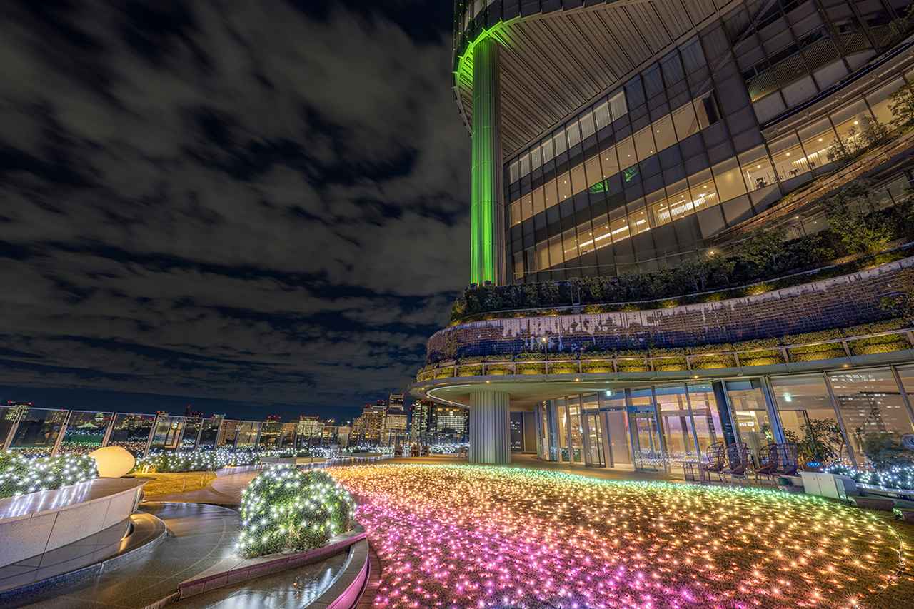 画像: 「PARK VIEW WINTER GARDEN」2024年開催時の様子