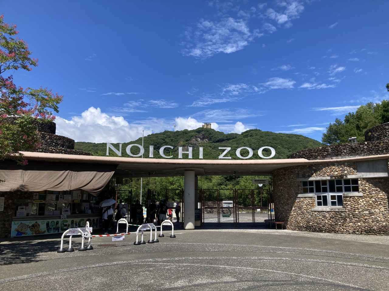 画像: 「動かない鳥」なのによく動く？ 魅力あふれるハシビロコウ｜高知県立のいち動物公園（高知）