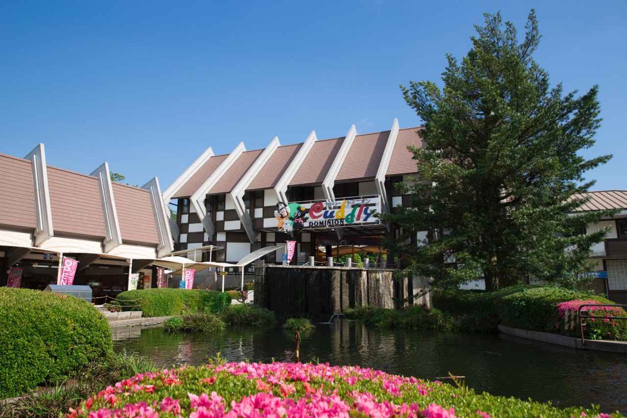 画像1: “パンくん”の故郷でこぐまたちが人気上昇中！｜阿蘇カドリー・ドミニオン（熊本）