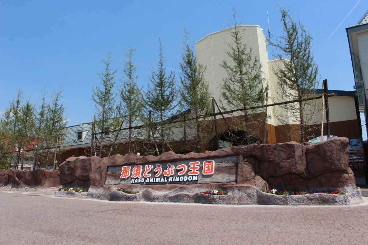 画像1: 提供：那須どうぶつ王国