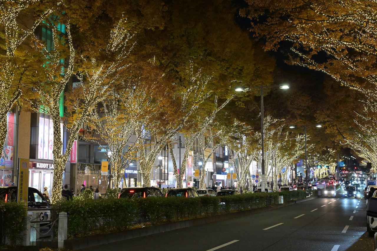 画像4: 2024年開催時の様子