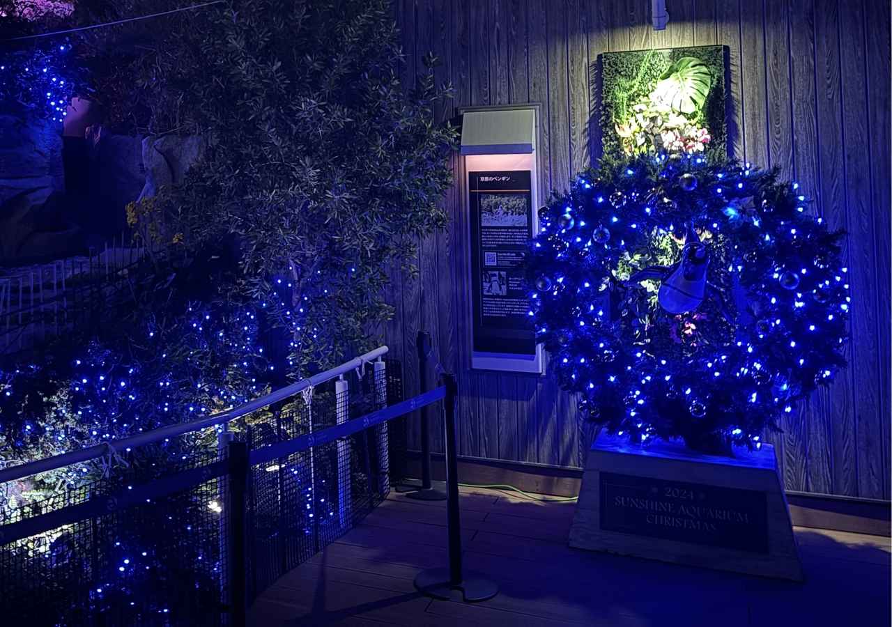 画像3: 【2025-2026】東京都内の人気イルミネーション24選。観光やクリスマスデートにおすすめ!