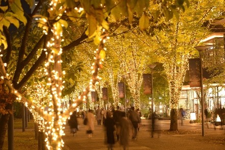 画像1: 【立川駅】2025 たちかわイルミネーション