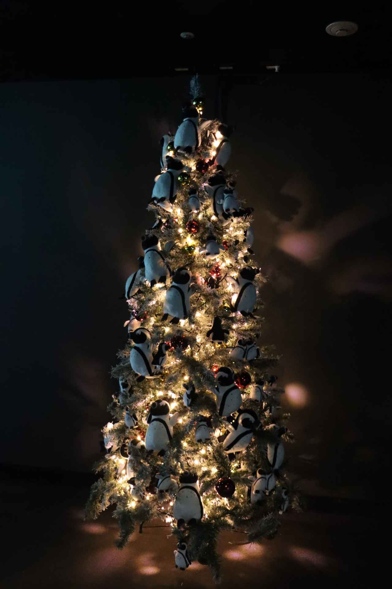 画像2: 【2025-2026】東京都内の人気イルミネーション24選。観光やクリスマスデートにおすすめ!