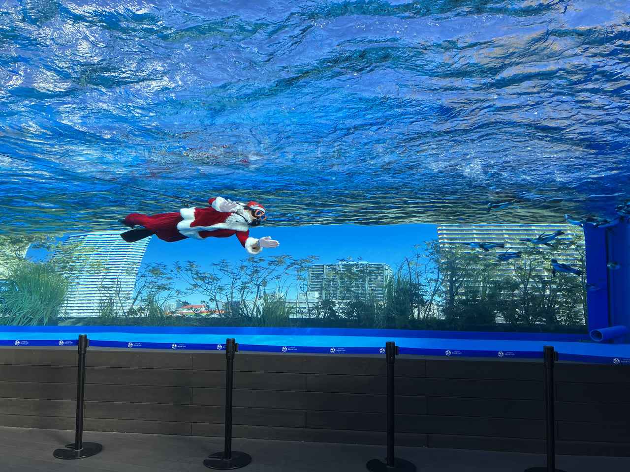 画像4: 【2025-2026】東京都内の人気イルミネーション24選。観光やクリスマスデートにおすすめ!