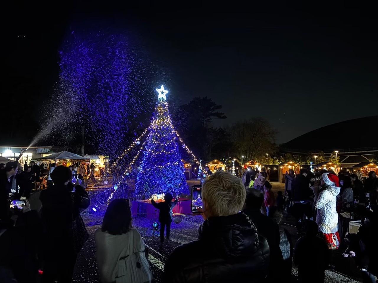 画像1: Christmas Night Market IN CHIBA PARK【千葉市中央区】