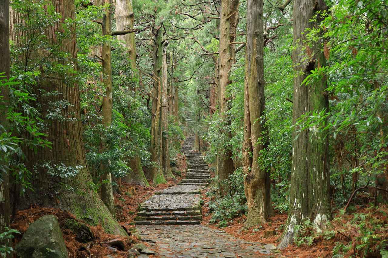 画像: （公社）和歌山県観光連盟