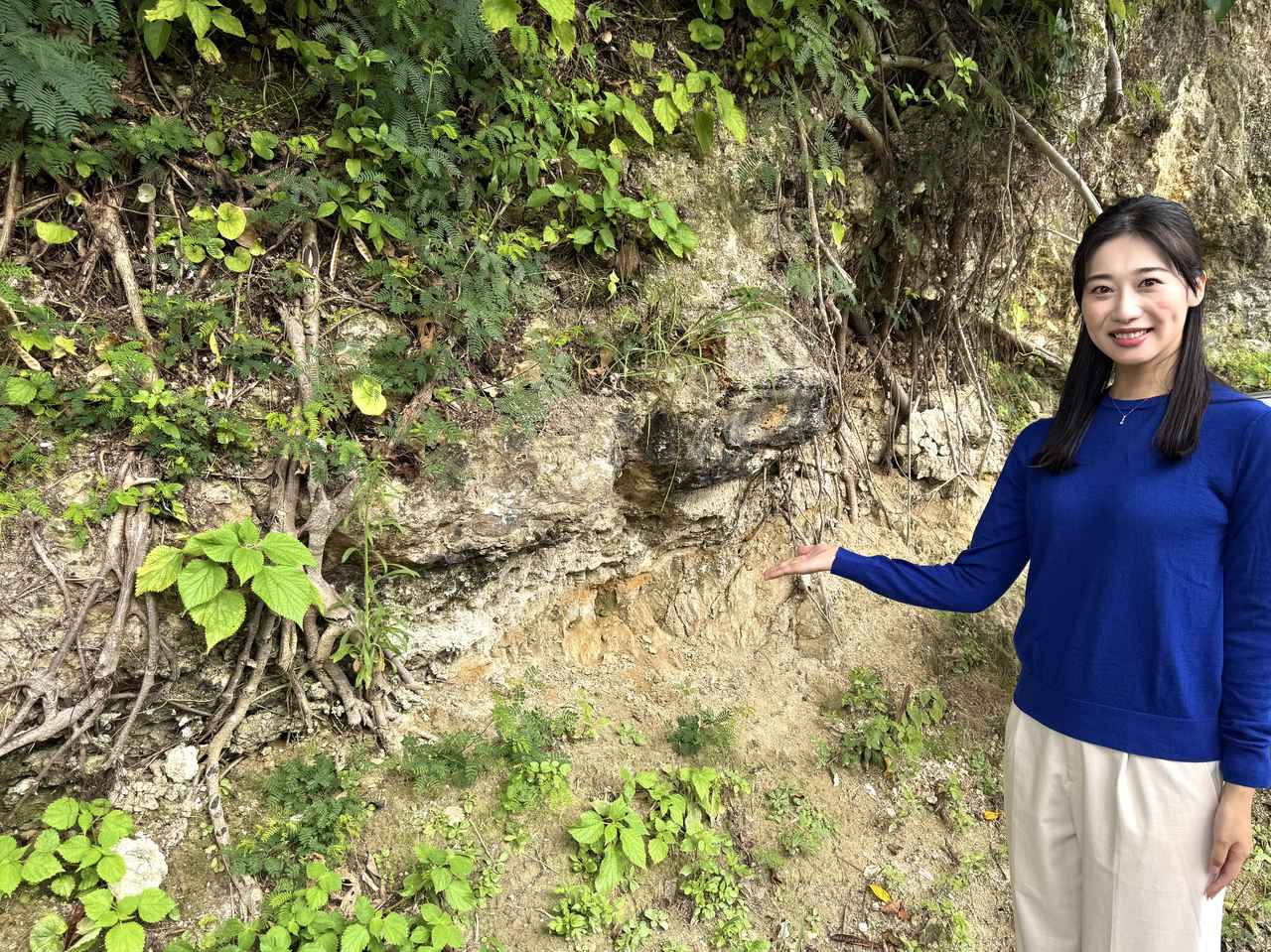 画像: 塩道北方の露頭