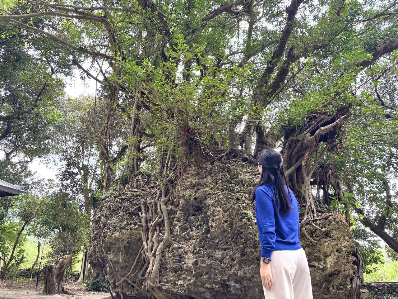 画像: サンゴとともにある島の暮らし