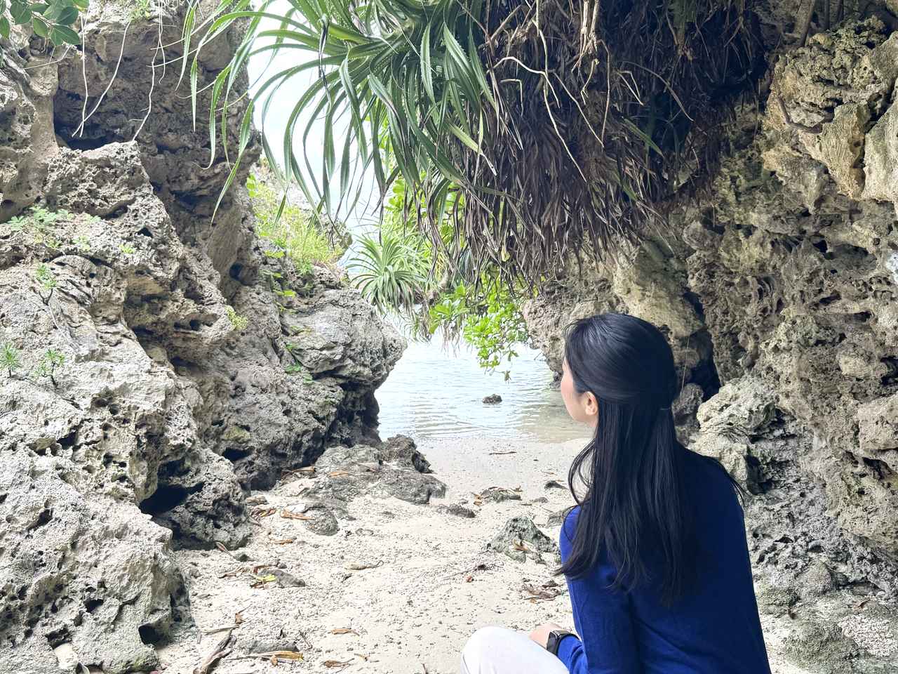 画像: ジオパークとは？喜界島が認定された理由