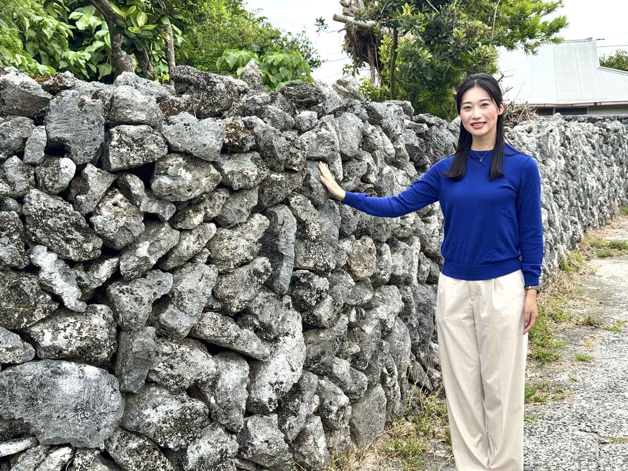 画像: サンゴの石垣