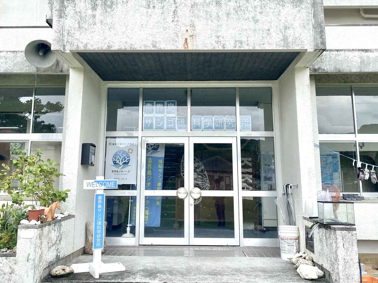 画像: 喜界島サンゴ礁科学研究所