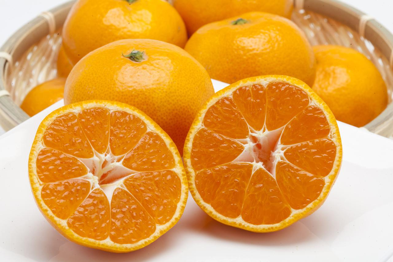 画像: 豊かな大地が育む！「旬のフルーツ」