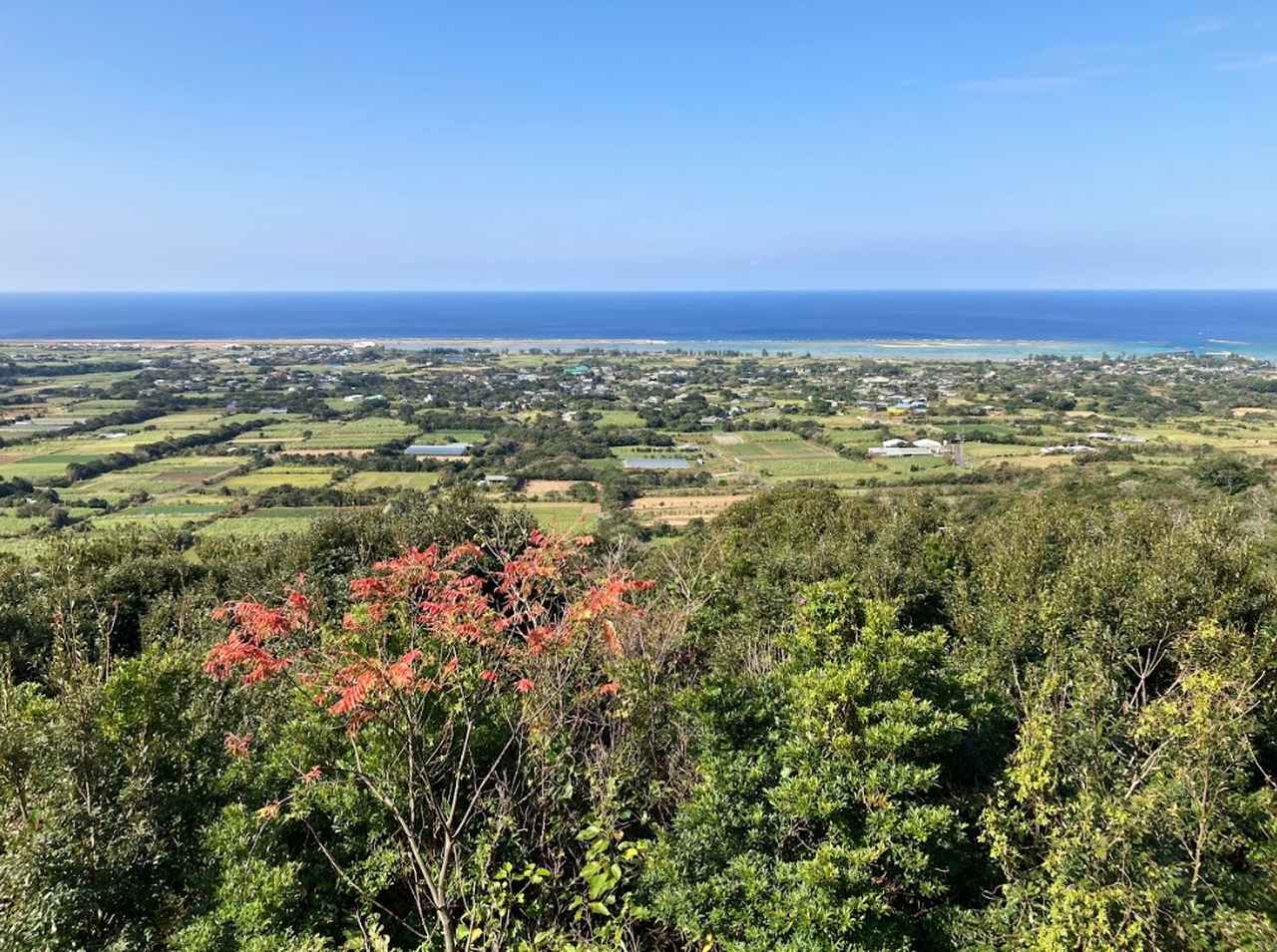 画像2: 徳之島・天城町の魅力とは