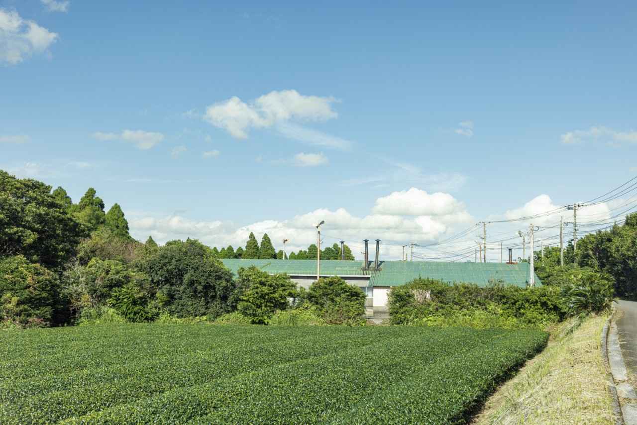 画像1: 川口製茶