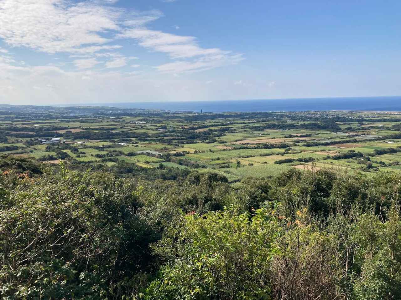画像: 天城町での二地域居住の魅力