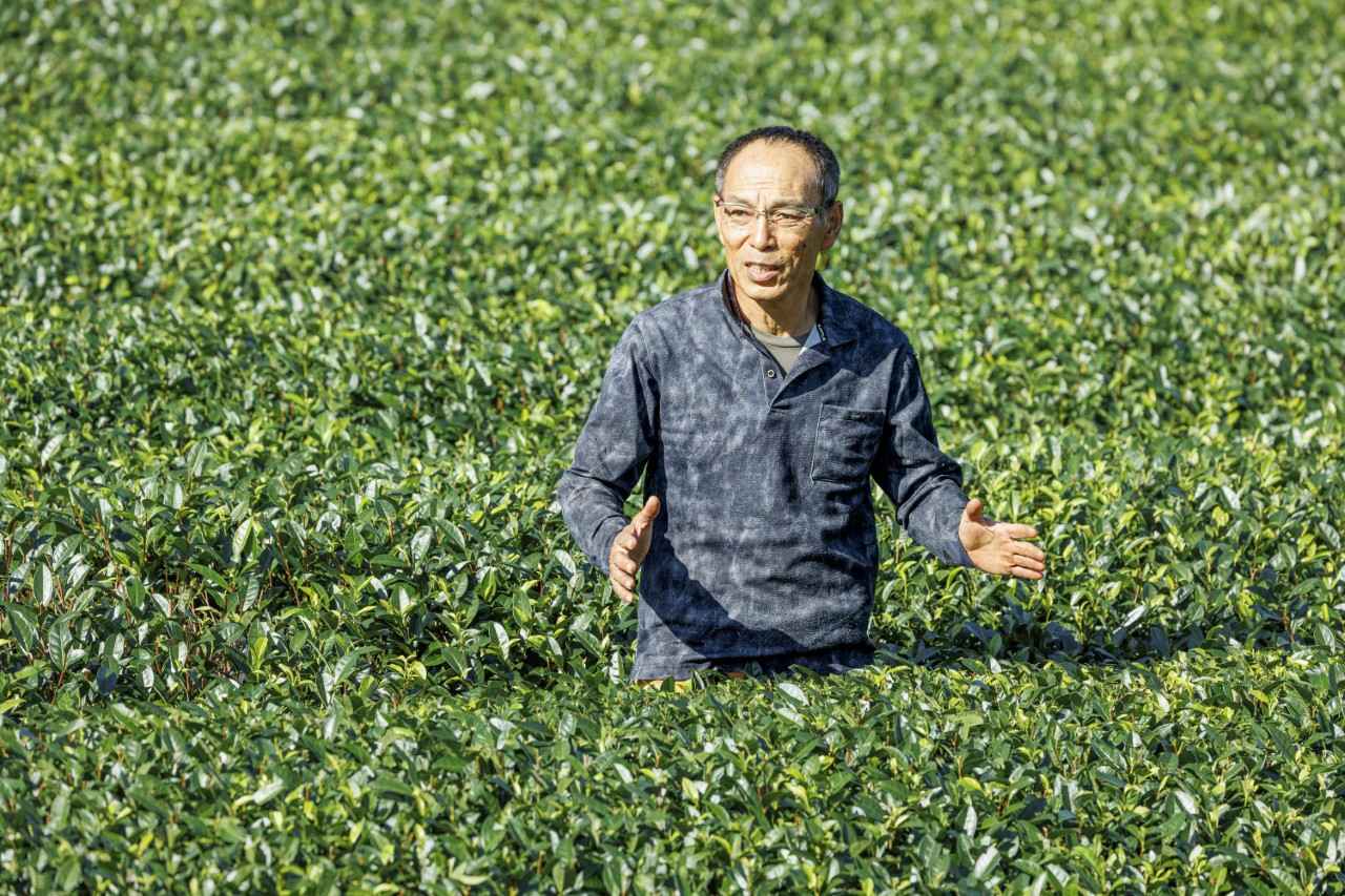 画像2: 川口製茶