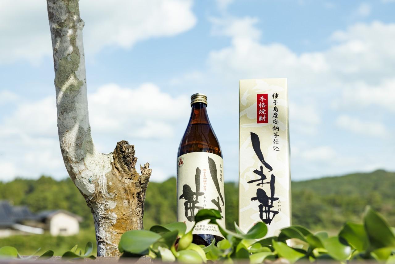 画像1: 浜島商店