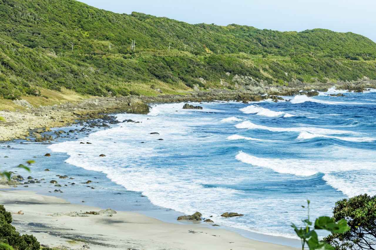 画像3: ふるさとの恵みをめぐる種子島の旅。西之表市・古田校区のおいしい物語