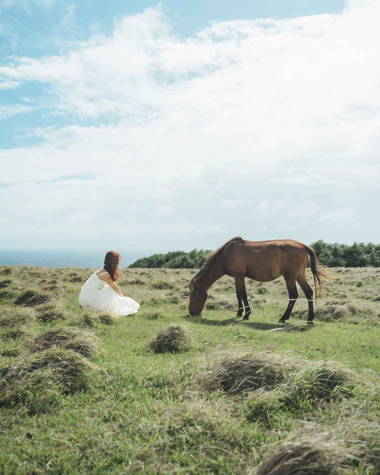 画像4: 【今なら特典も！】JALユーザーが選ぶ「行ってみたい都道府県」ランキングTOP10