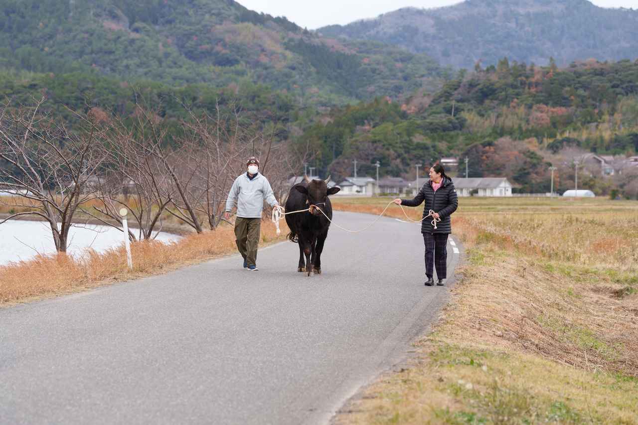 画像: 〈島根の楽しみ方③〉島の時間に触れる、静けさの旅