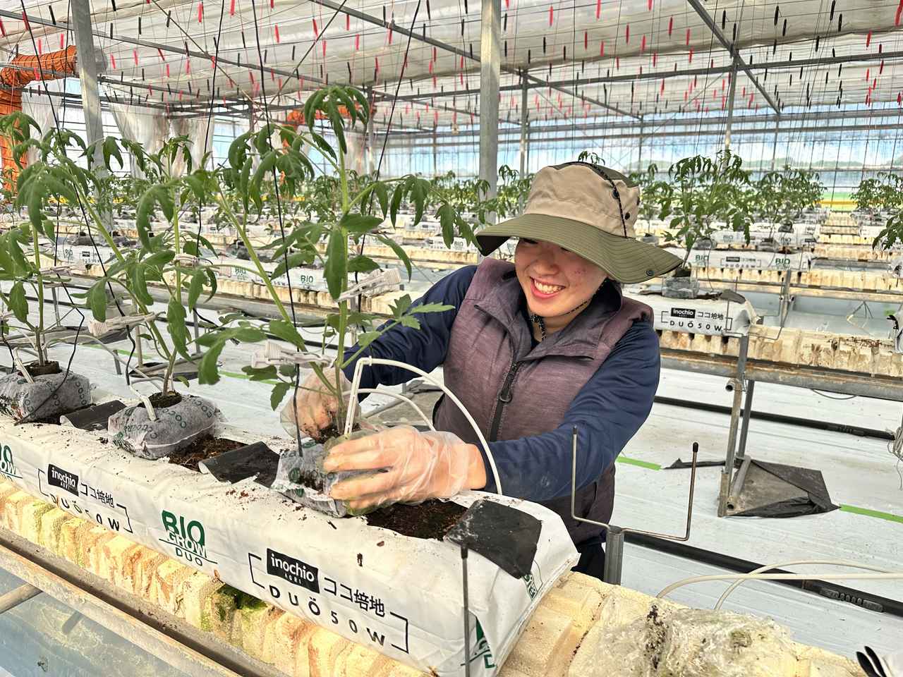 画像3: ＃地域の食を支える、農業・水産加工業・商業を体験