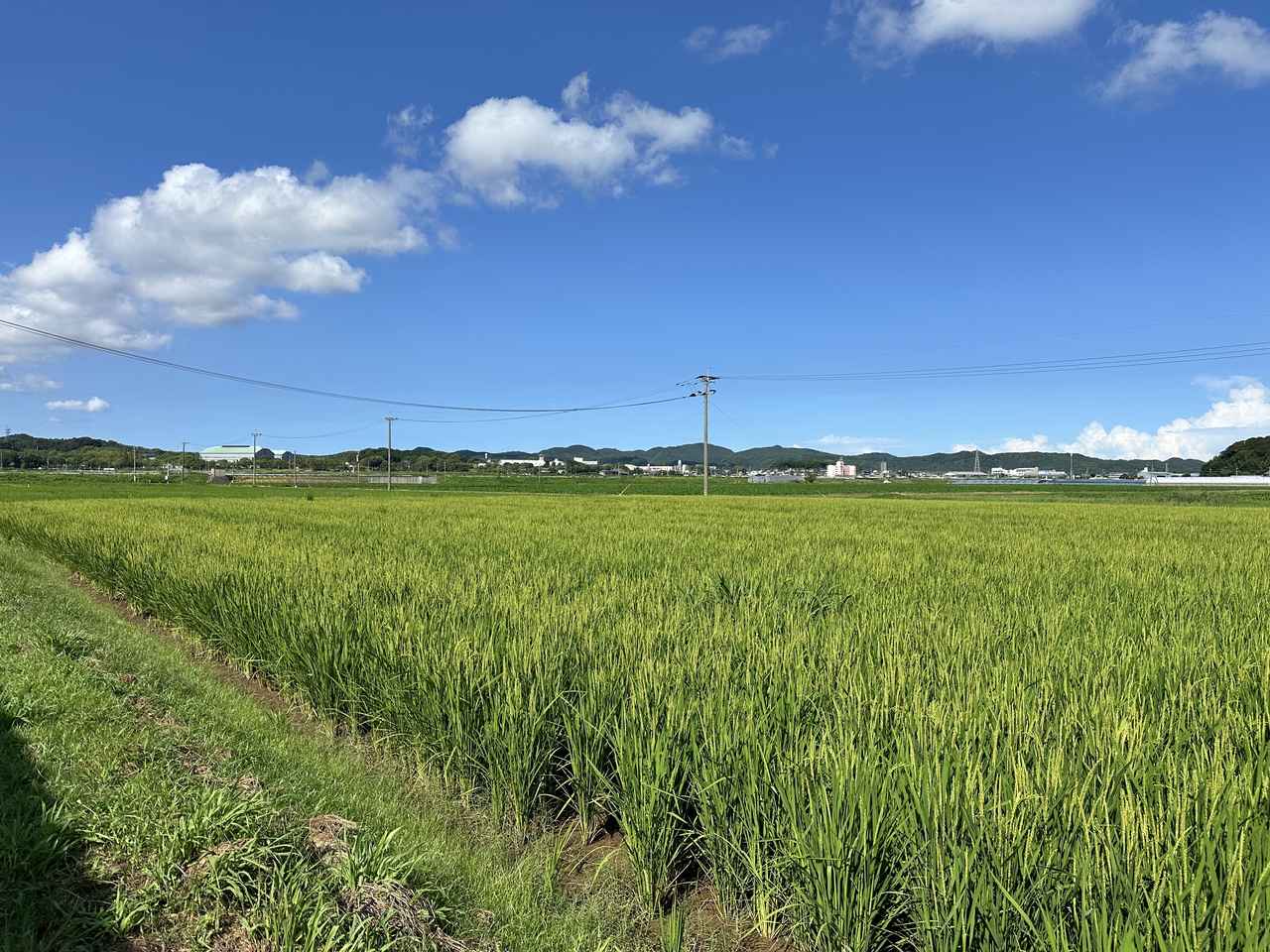 画像: ＃地域産業の魅力発信を通じて、持続可能な未来へ。