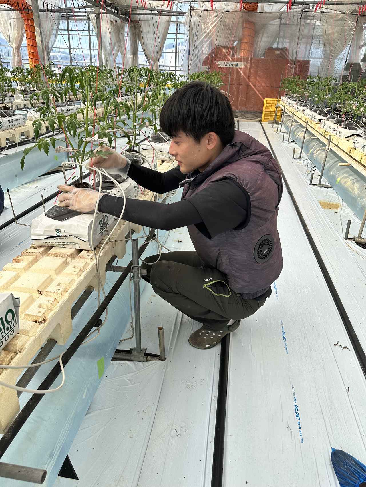 画像2: ＃地域の食を支える、農業・水産加工業・商業を体験