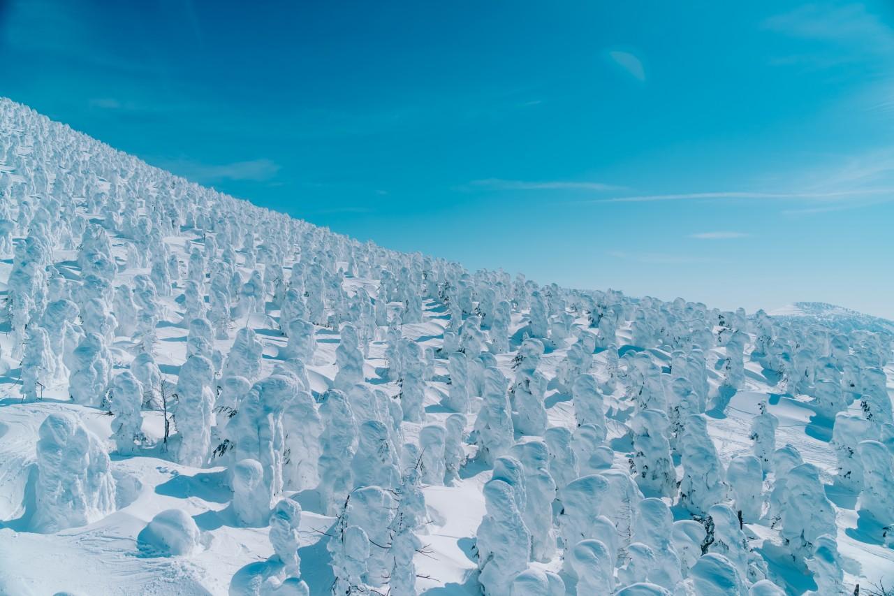 画像: istock/nature picture